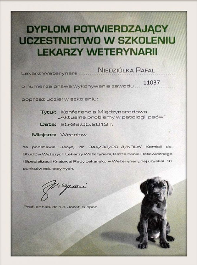 Dyplom lub certyfikat