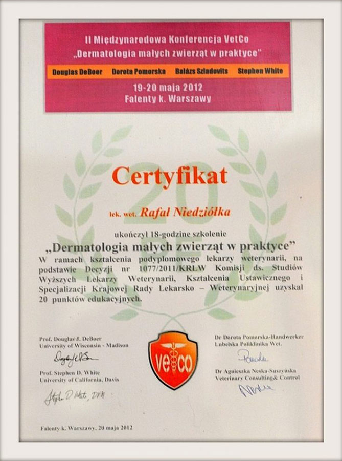 Dyplom lub certyfikat