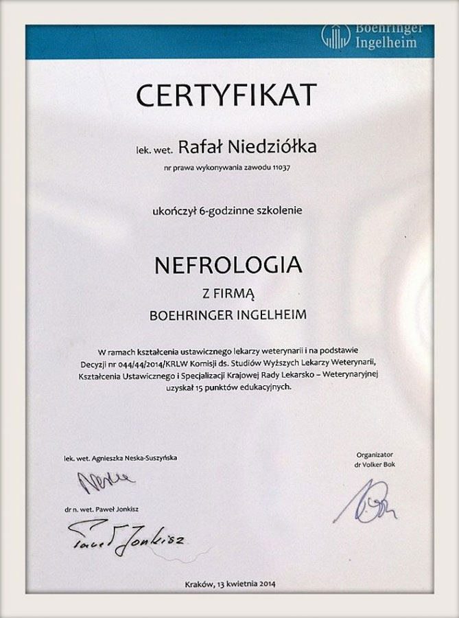 Dyplom lub certyfikat