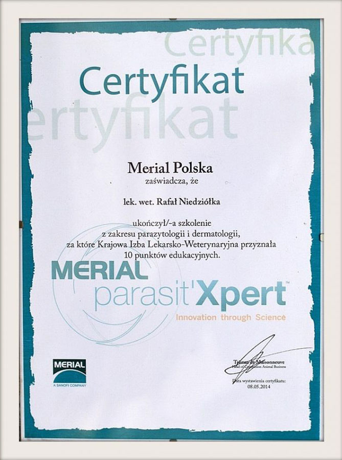 Dyplom lub certyfikat