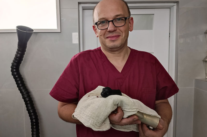 Pacjent przychodni Animals Service