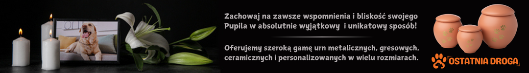 Ostatnia droga, baner partnera